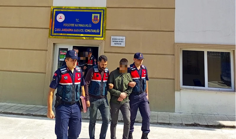 Ordu