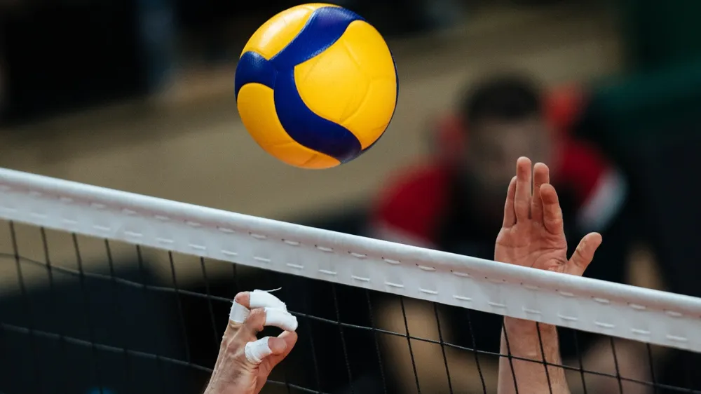 Türkiye Voleybol Federasyonu Efeler Ligi