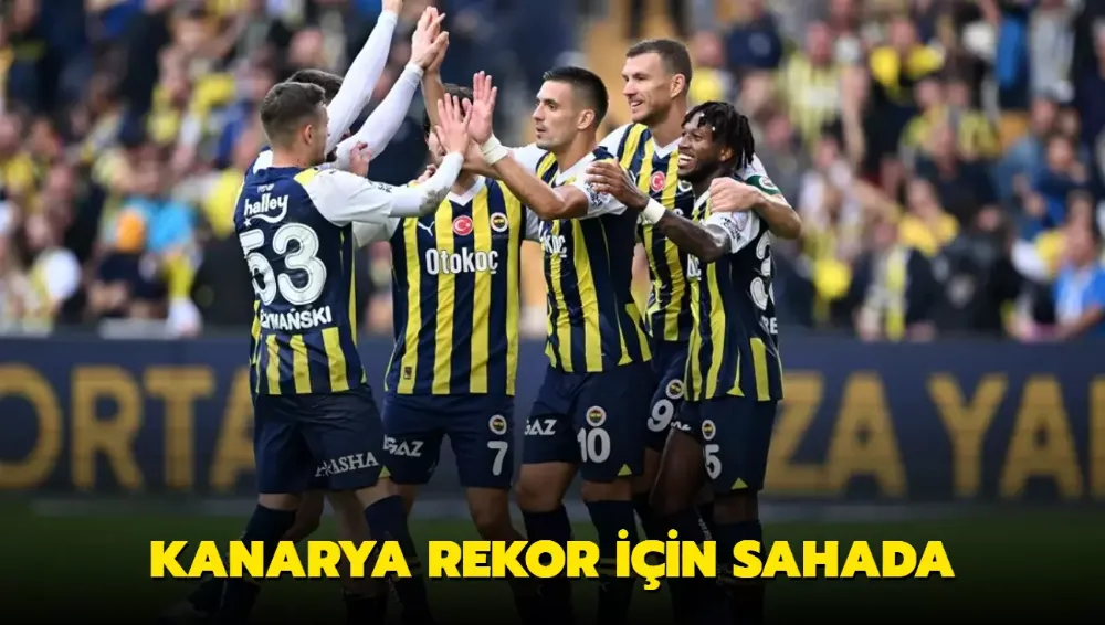 Kanarya rekor için sahada