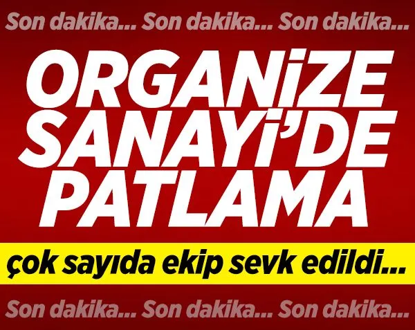 Organize Sanayi Bölgesi