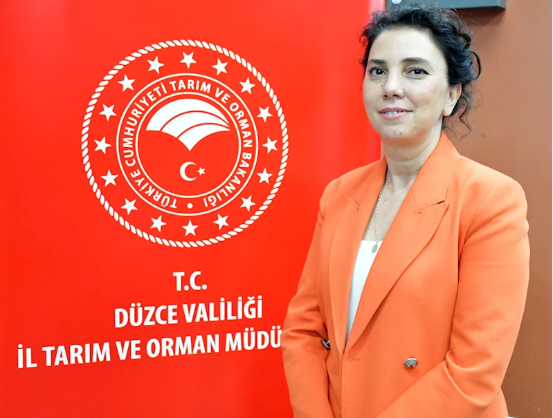 Hepsiburada Düzce