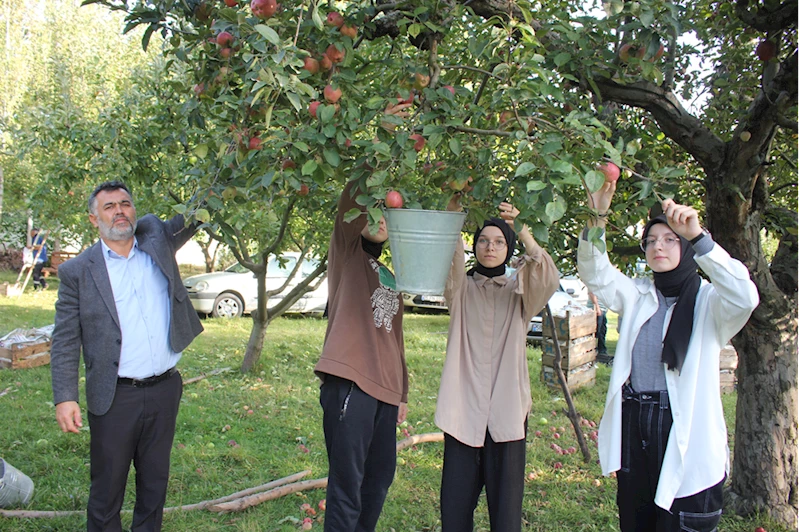 Amasya