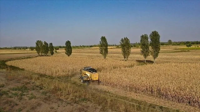 Mazot Gübre Desteği yattı mı?