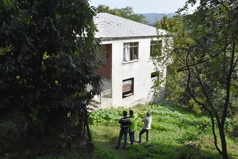 Ordu