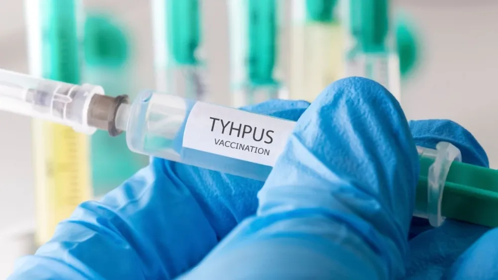 Tifüs hastalığı nedir?