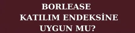 Borlease (BORLS) halka arz katılım endeksine uygun mu?