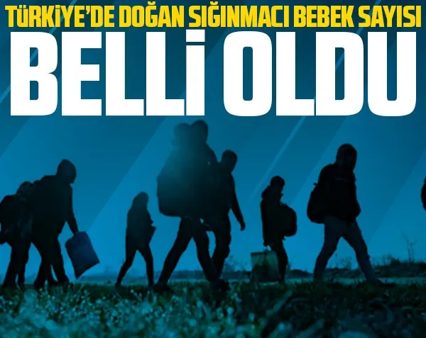 Türkiye’de doğan sığınmacı bebek sayısını açıkladı