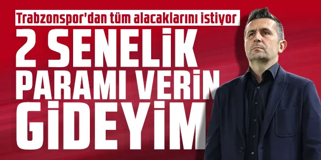 Nenad Bjelica, Trabzonspor