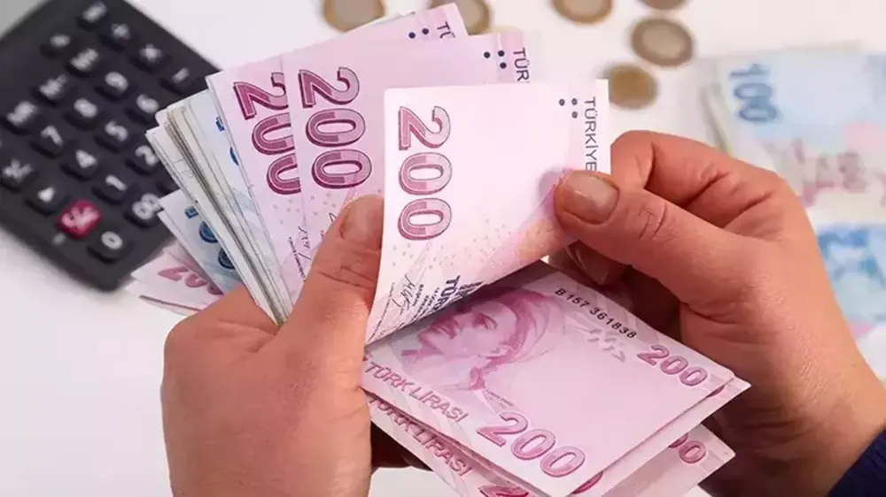 Karadeniz Bölgesinde İstihdamda Azalma: TEPAV Raporu