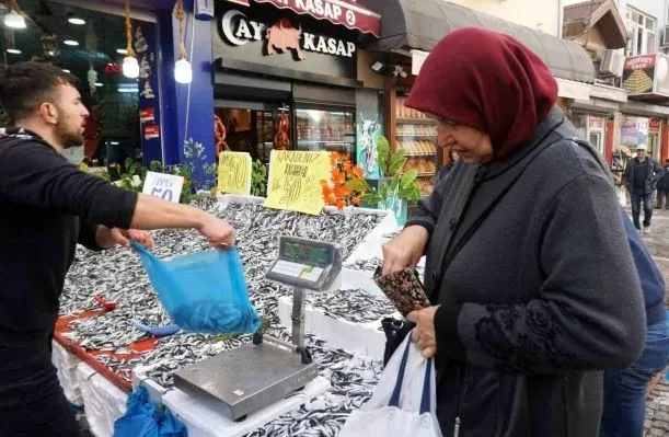 Hamsinin Fiyatı Ne Kadar ?