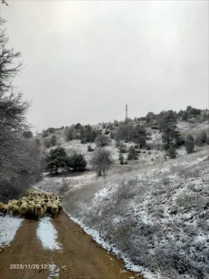 Tokat, Sinop ve Kastamonu