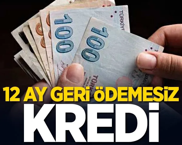 1 milyon liraya kadar faizsiz kredi! 12 ay geri ödemesiz imkanı