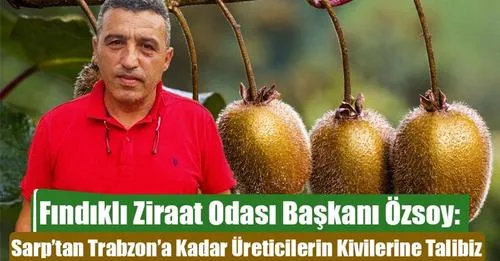 FINDIKLI ZİRAAT ODASI BAŞKANI ÖZSOY ‘SARP’TAN TRABZON’A KADAR ÜRETİCİLERİN KİVİLERİNE TALİBİZ’