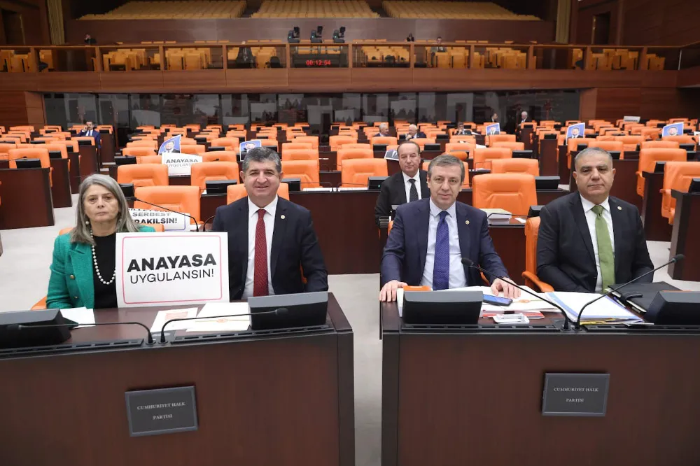 CHP Milletvekili Sibel Suiçmez: 