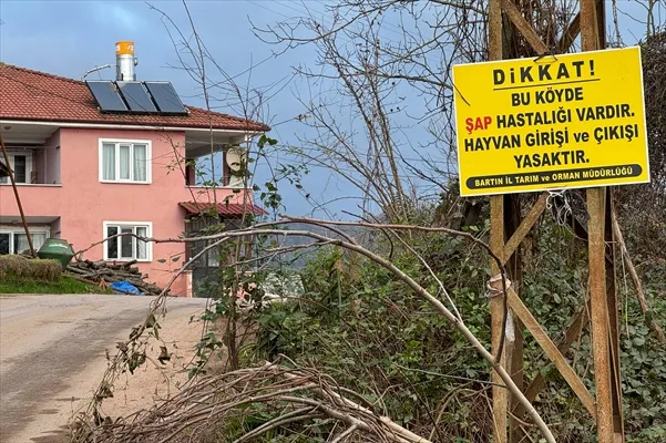 Bartın