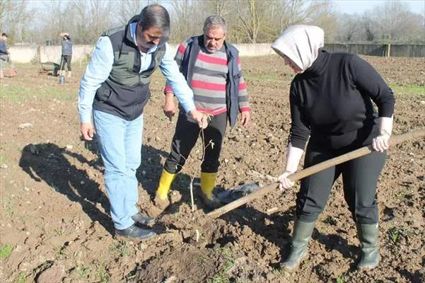 Düzce