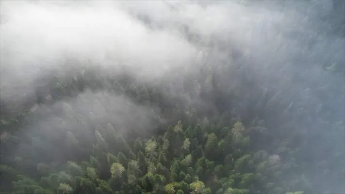 Kastamonu