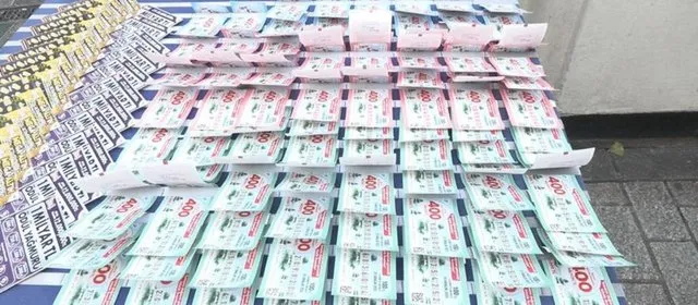 Milli Piyango sonuçları sorgulama ekranı: 2024 Milli Piyango bilet sorgulama nasıl yapılır?