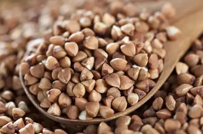 Vücuttaki Hastalıkları Kurtaran Mucizevi Çay!