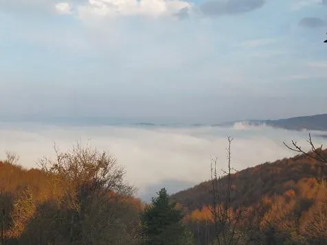 Bolu ve Düzce