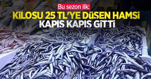 Bu sezon ilk: Kilosu 25 TL’ye düşen hamsi kapış kapış gitti