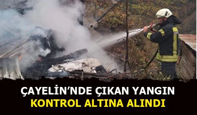 Çayeli