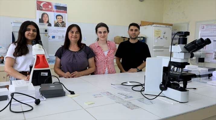 Örümceğimsigillerden 