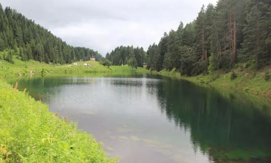 Sakin Şehir Şavşat