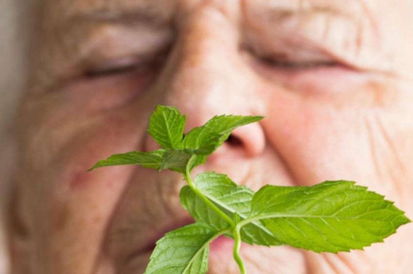 Alzheimer hastalarına faydaları keşfedildi