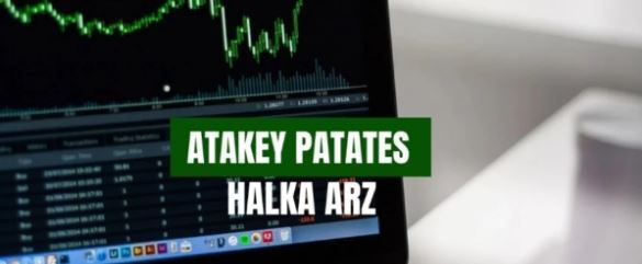 Atakey Patates halka arz kaç lot verir?