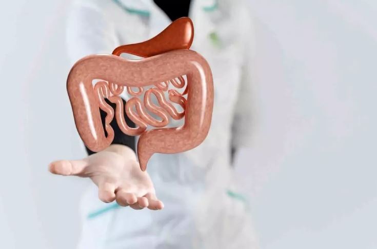 Sağlıklı Bağırsaklar AIDS