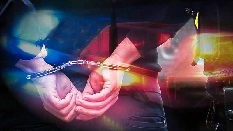 50 göçmen kaçakçılığı organizatörü yakalandı