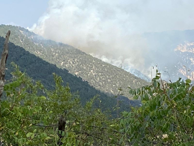 Bolu