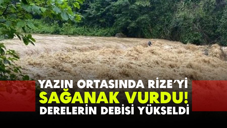 Yazın ortasında Rize
