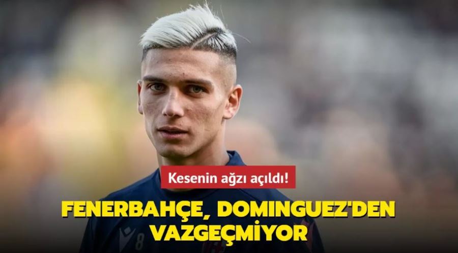Nicolas Dominguez