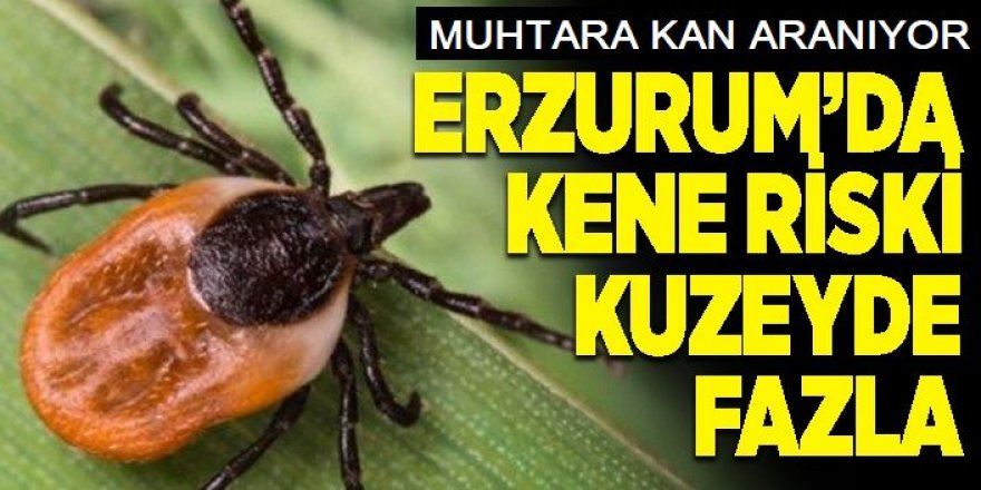 Erzurum