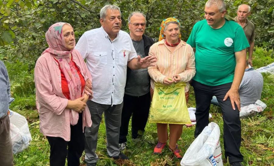 Trabzon’un Sürmene İlçesinde öğrencilere burs sağlamak için fındık toplama etkinliği düzenlendi