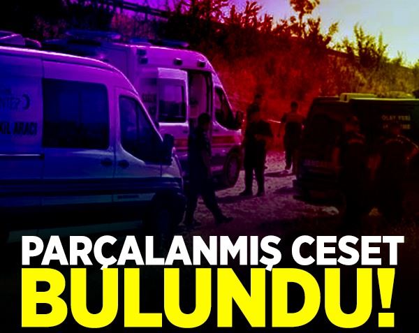 Parçalanmış ceset bulundu!