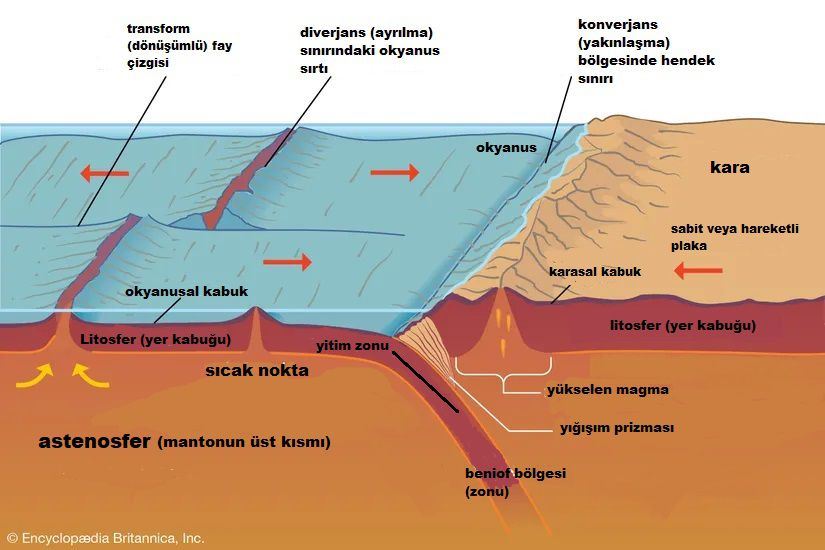 Levha hareketleri nedir?