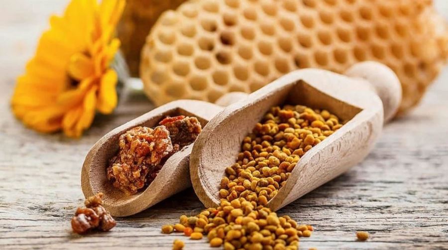 Propolis Nedir?