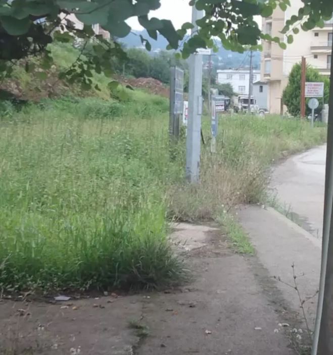  Vakfıkebir ilçesinde otların kaldırımları sardığı ve vatandaşların bu kaldırımları kullanamadığı görüldü