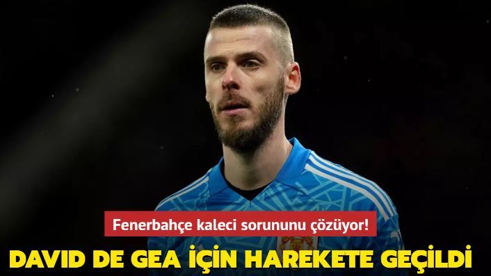Sarı lacivertliler David de Gea için harekete geçti