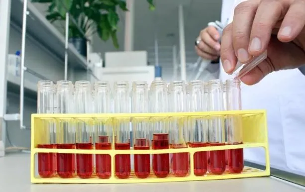Kan Pıhtılaşma Bozukluğunun Anatomisi ve Yönetimi