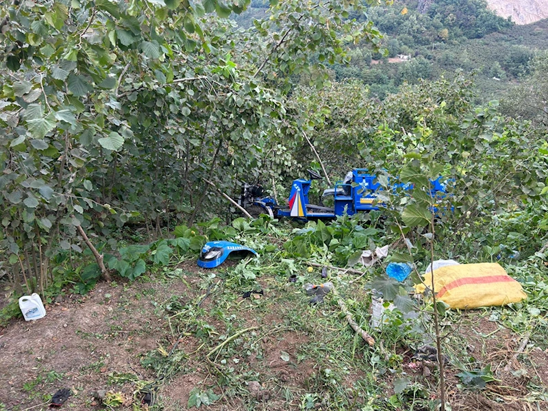 Ordu