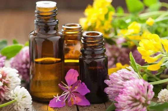 Vetiver Yağı Nedir, Faydaları Nelerdir?