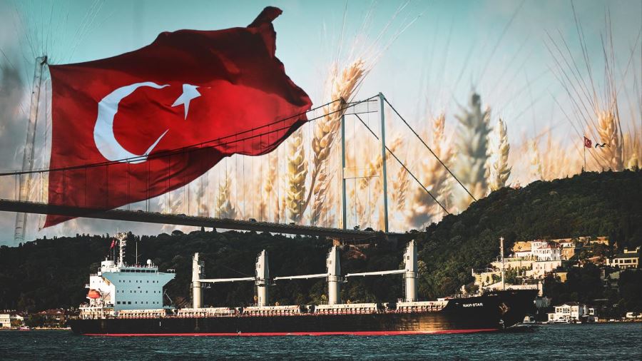 Türkiye Tahıl Girişimi