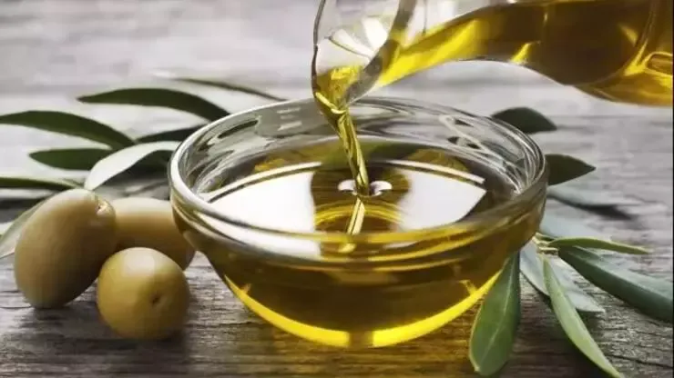 Zeytinin faydaları ve zararları nelerdir?