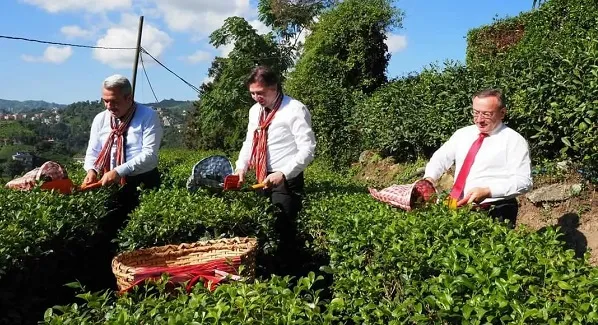 Tarım ve Orman Bakan Yardımcısı Rize