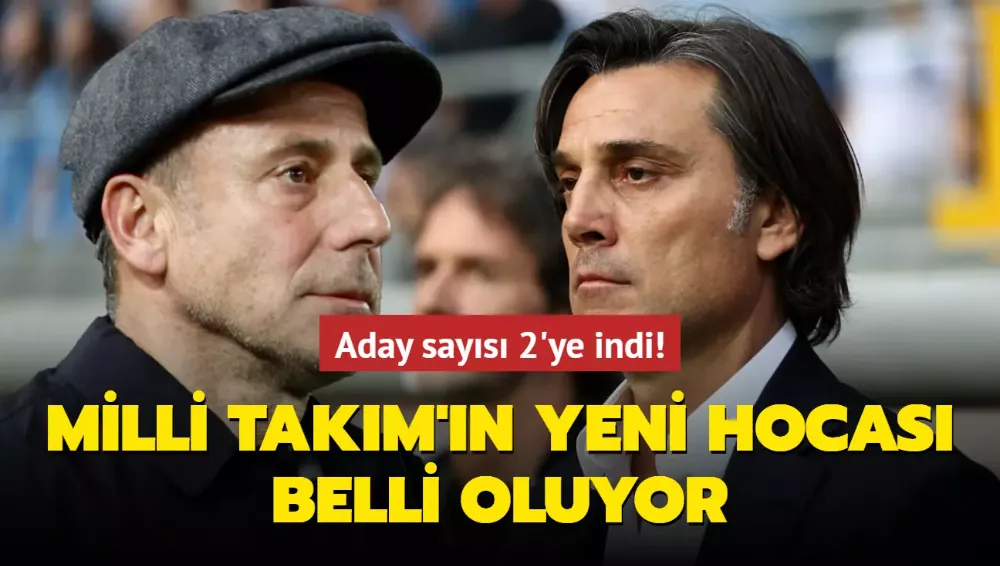 Milli Takım