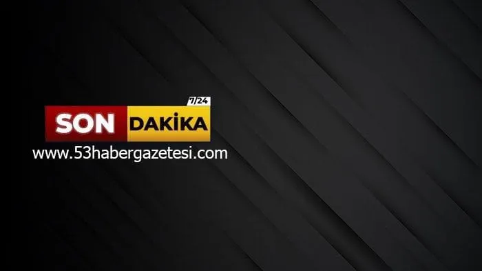 Erzurum İtfaiye Ekipleri, Kayalıklara Düşen Yavru Köpeği Kurtardı